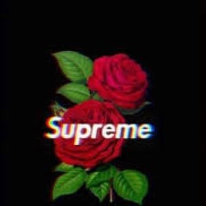 Meet your Posher, Tucker